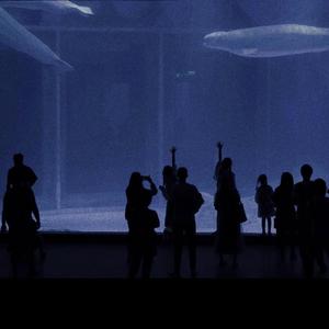 三级日本亚洲色图自拍偷拍一区二区
